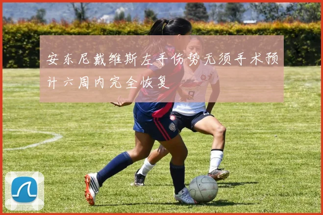 安东尼戴维斯左手伤势无须手术预计六周内完全恢复