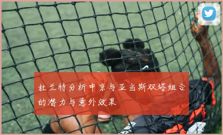 杜兰特分析申京与亚当斯双塔组合的潜力与意外效果